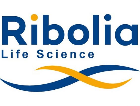 瑞博生物与Madrigal达成全球独家许可协议