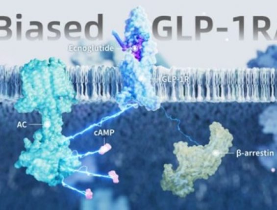 先为达生物全球首个偏向型GLP-1减重药物先维盈®获批上市