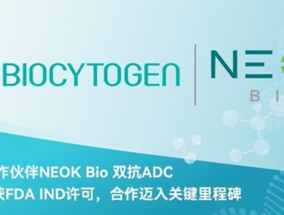 NEOK002项目取得重要里程碑进展