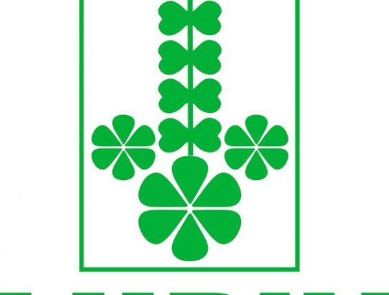 Lupin 完成对VISUfarma 的收购