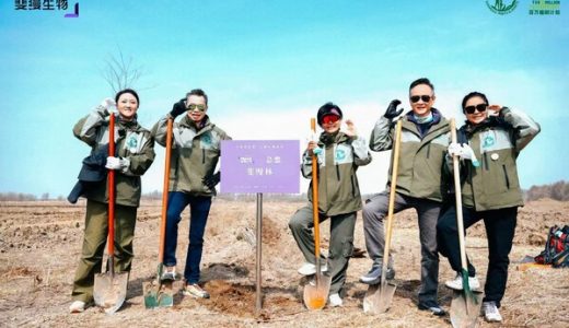 斐缦林扎根荒漠，共筑生态修复屏障