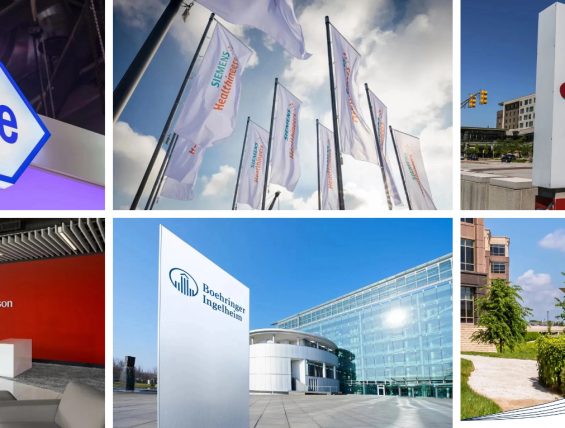 跨国药企在中国 | 罗氏、贝朗医疗、西门子医疗、礼来、强生、艾伯维、参天制药、富士胶片、勃林格殷格翰、拜耳、辉瑞、利奥制药等新动态