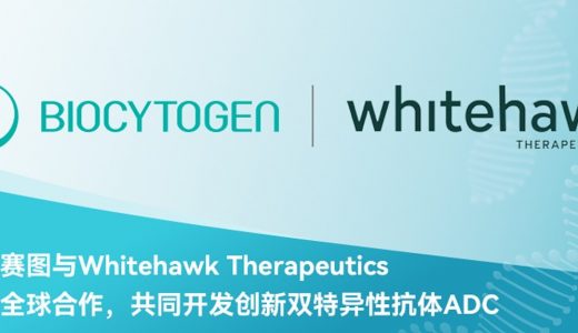 百奥赛图与Whitehawk Therapeutics达成全球合作，共同开发创新双特异性抗体ADC