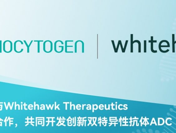 百奥赛图与Whitehawk Therapeutics达成全球合作，共同开发创新双特异性抗体ADC