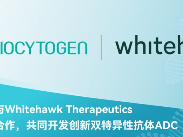 百奥赛图与Whitehawk Therapeutics达成全球合作，共同开发创新双特异性抗体ADC